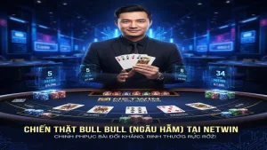 Hướng dẫn chơi Bull Bull (Ngầu Hầm) Netwin