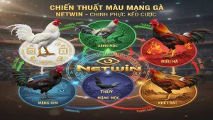 Ý nghĩa của các màu mạng gà trong cá cược đá gà Netwin